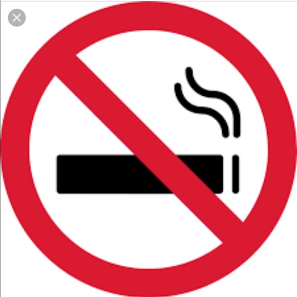 LOFT Lace Shell - Picture 5 of 5